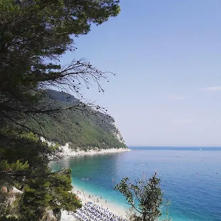 Bed & Breakfast Osimo B&B